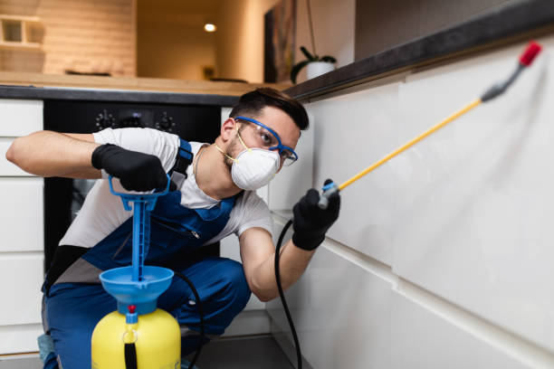 Best Commercial Pest Control Services  in Machesney Park, IL