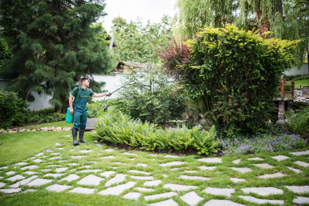 Trusted Machesney Park, IL Pest Control Experts
