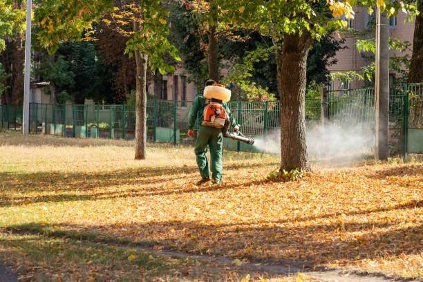 Wasp Removal Services in Machesney Park, IL