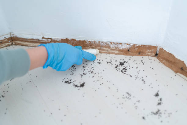Best Wildlife Control Services  in Machesney Park, IL