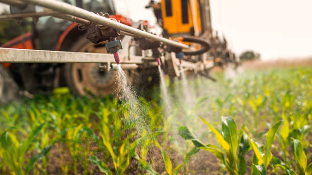 Best Mosquito Control Services  in Machesney Park, IL