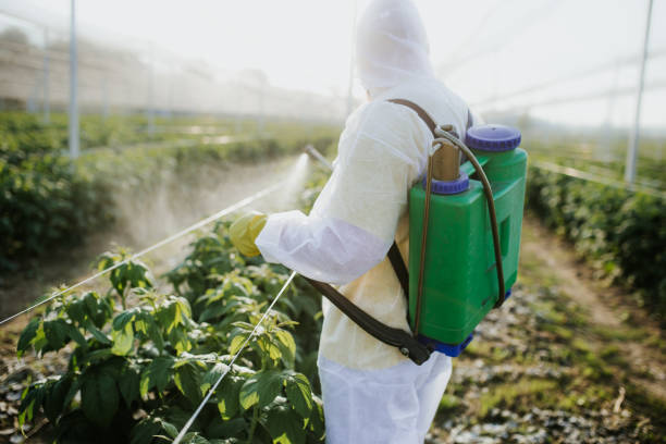 Best Best Pest Control Companies  in Machesney Park, IL